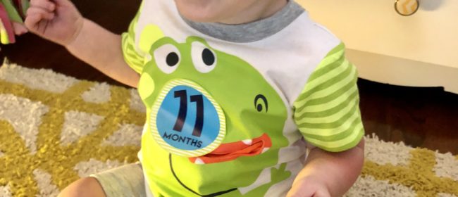 Logan – 11 Month Update