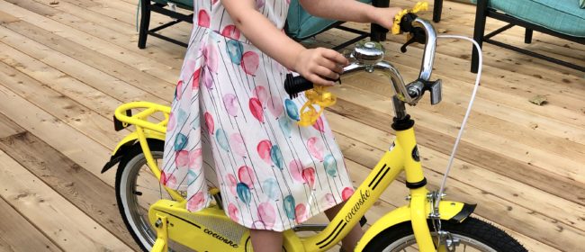 Allison’s 4th Birthday